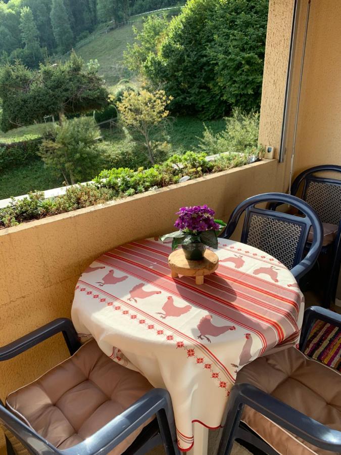 Appartement Vue Montagne Avec Wifi Saint-Lary-Soulan Exterior photo